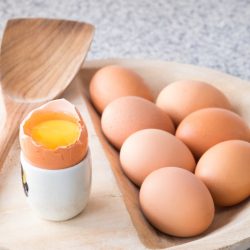 salmonella w jajku